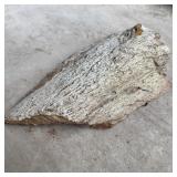 10 lbs. Petrified Wood Fossil