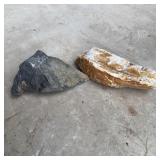 (2) Petrified Wood Fossils