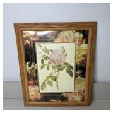 23x19 Framed Botanical Art Print Reproduction