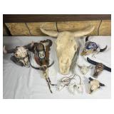 (11) Skull Figures/Decor