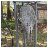 20" Weathered Skull