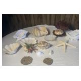 Nautical Beach House Decor Lot Ceramic Seashell