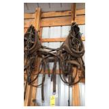 TEAM HARNESS