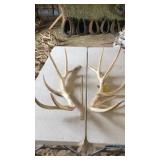 PAIR OF ELK ANTLERS 7x8 3 year old 25 lbs