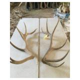 PAIR OF ELK ANTLERS 7x6  5 year old 28 lbs