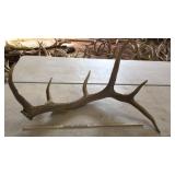SINGLE ELK ANTLER 13 lbs