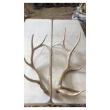 PAIR OF ELK ANTLERS 6x7 and 15 lbs
