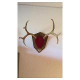 MOUNTED DEER ANTLERS