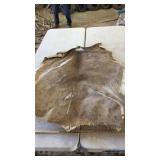 TANNED ELK HIDE