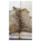 TANNED ELK HIDE