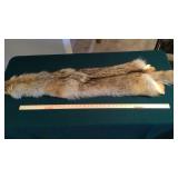 NATIONAL SUPERIOR TUBED COYOTE PELT