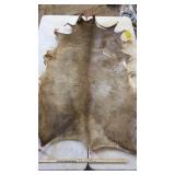 TANNED ELK HIDE