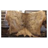 BULL ELK HIDE (72in.x36in.)