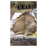 TANNED ELK HIDE