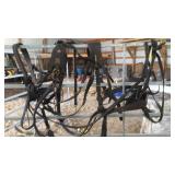 TEAM HARNESS