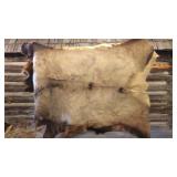 BULL ELK HIDE (72in.x52in.)