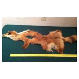 (2) RED FOX PELTS