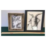 (2) PENCIL & CHARCOAL GOAT DRAWINGS