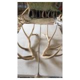 PAIR OF ELK ANTLERS 6x7 and 27 lbs