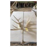 PAIR OF ELK ANTLERS 6x7 and 14 lbs