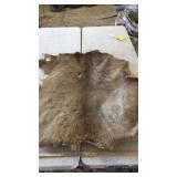 TANNED ELK HIDE
