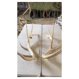 PAIR OF ELK ANTLERS 6x6 and 29 lbs