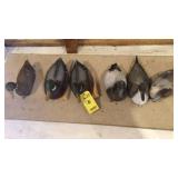 (6) RUBBER DUCK DECOYS (6) RUBBER DUCK DECOYS
