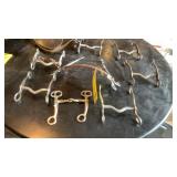 (7) CURB BITS, HACKAMORE & SNAFFLE BIT