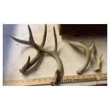 DEER ANTLERS, SILVER PLATE ITEMS & AMMO CRATE