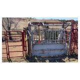 CALF SQUEEZE CHUTE