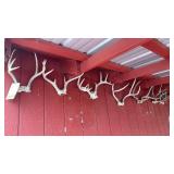(7) DEER SHEDS