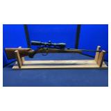 Remington model 5 22 LONG RIFLE