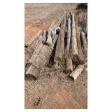 ASSORTED WOOD POLES