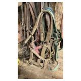ASSORTED HEADSTALLS & HALTERS