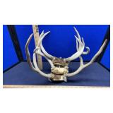 (3) DEER RACKS