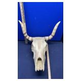 MOLDED LONG HORN SKULL