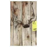 SOUTH DAKOTA WHITE TAIL DEER HORNS