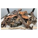 LEATHER HALTERS & BELTS