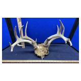 (2) DEER RACKS