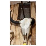 COW SKULL (ONE HORN CURVED BACK)