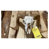 RAM SKULL