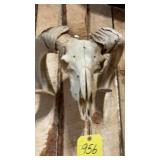 RAM SKULL