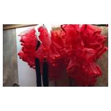 (2) GIRLS TUTUS