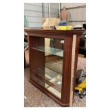 LIGHTED GLASS DISPLAY WALL SHELF