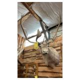CARIBOU MOUNT MEASURES 42"W X 53"T