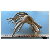 (6) DEER SHEDS