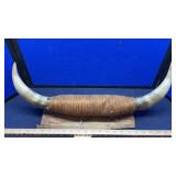 BULL HORNS MEASURES 23"W
