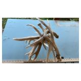 ASSORTED DEER SHEDS