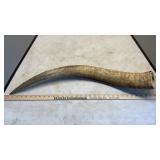 LONGHORN HORN AND COW HORNS WALLHANGING