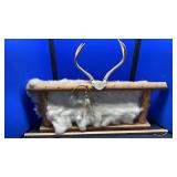 LAMP, MIRROR & RABBIT PELT DISPLAY